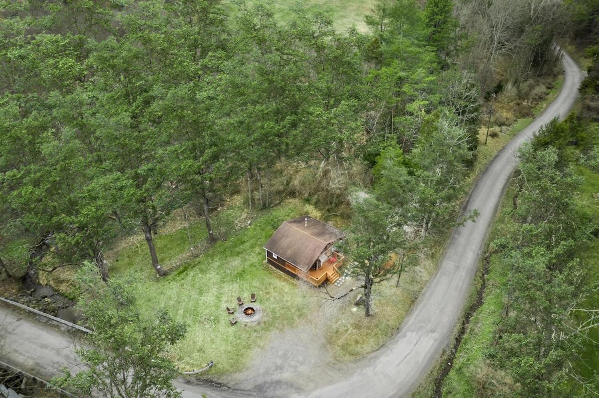 Creekside Cabin W Hot Tub, Fire Pit, Grill, Wifi! Basye Bagian luar foto